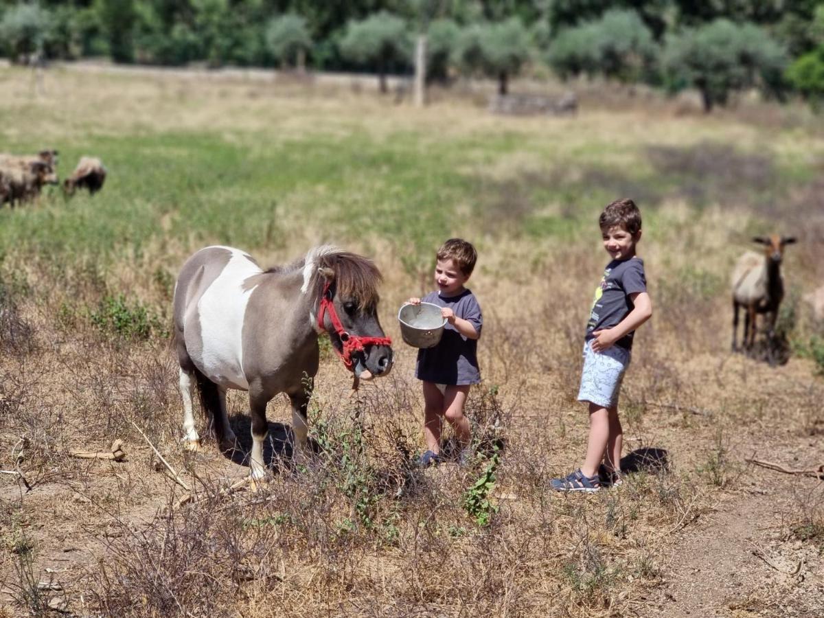 Arca Dos Animais - Farming & Spa Castelo Branco  Extérieur photo